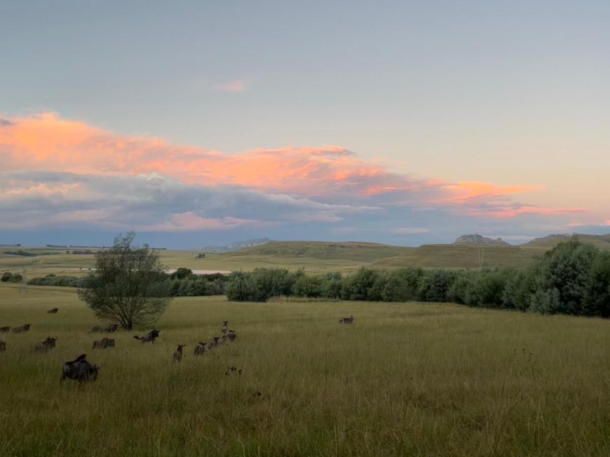 Buffalo Hills Private Game Reserve Harrismith Buitenkant foto