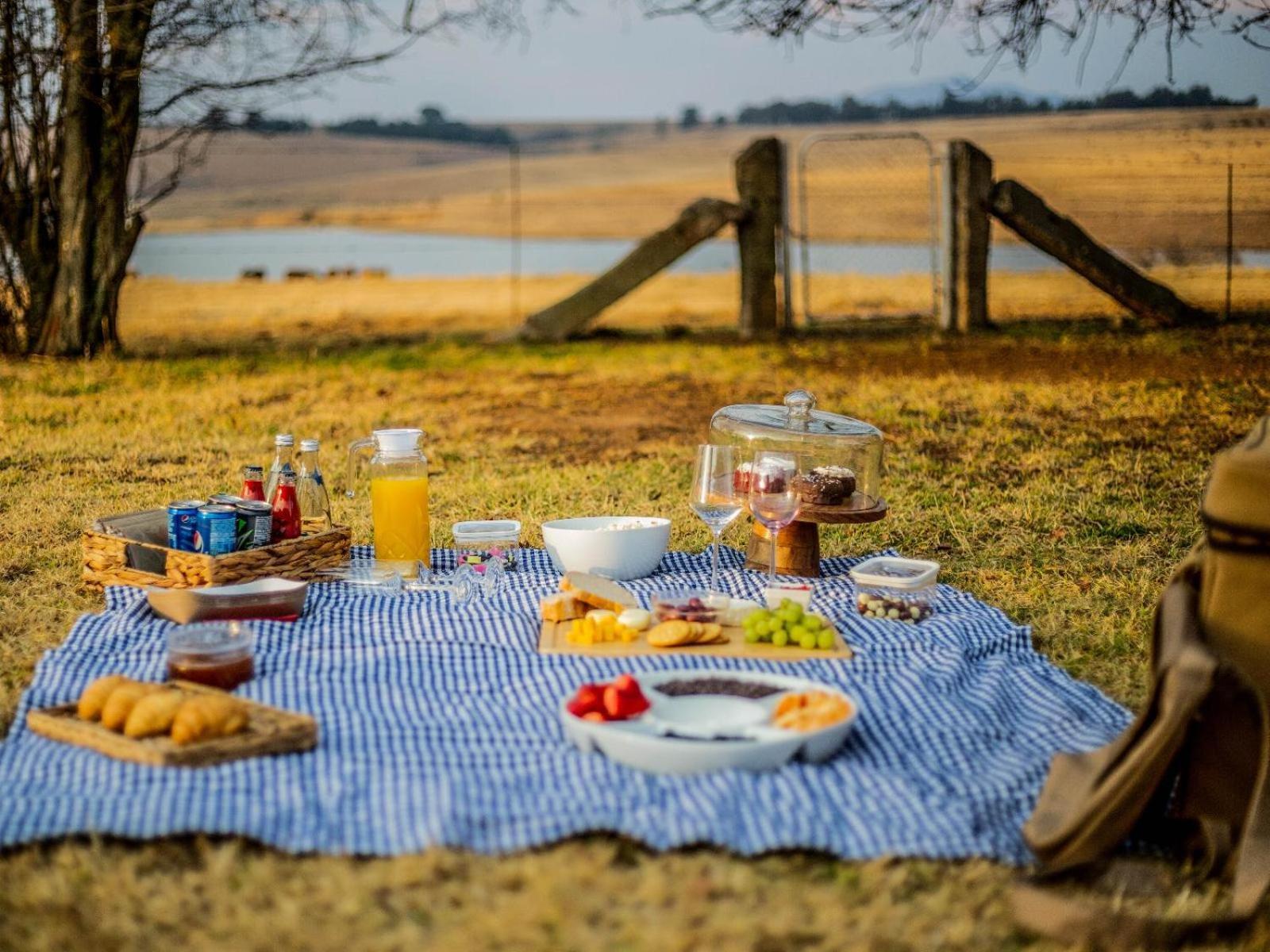 Buffalo Hills Private Game Reserve Harrismith Kamer foto