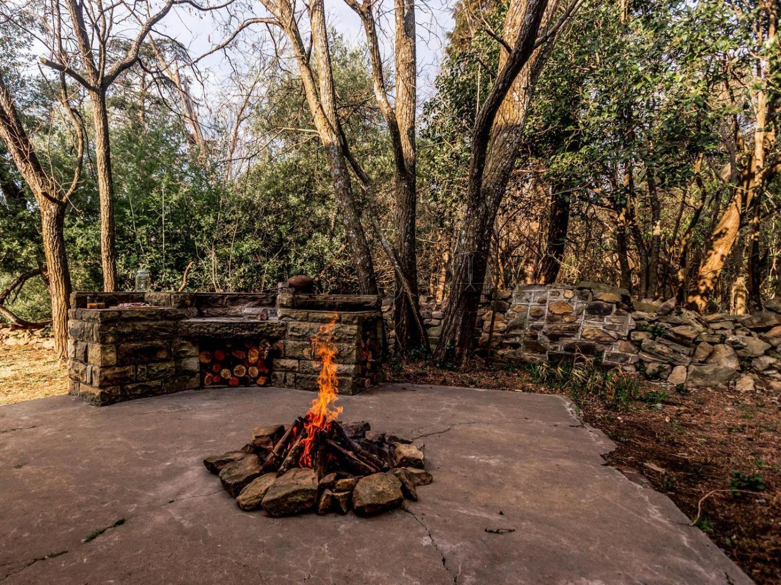 Buffalo Hills Private Game Reserve Harrismith Kamer foto